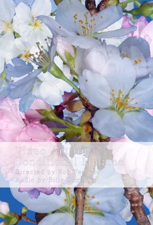 Постер: Video Art for Conditional Malaise