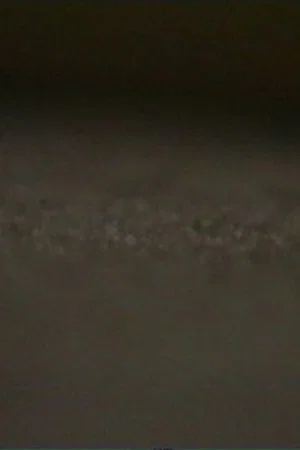 Постер: rug