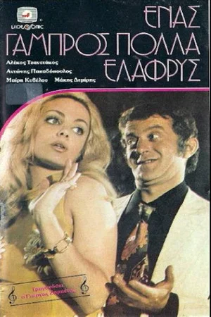 Постер: One Groom, Many Lightweight