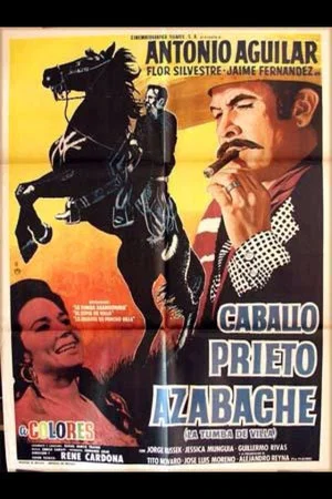 Постер: Caballo prieto azabache