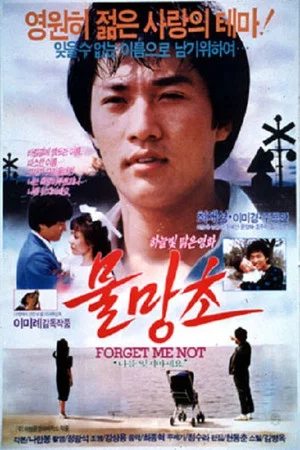 Постер: Forget-me-nots