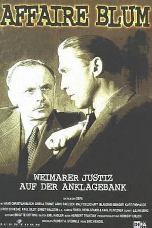 Постер: Affäre Blum