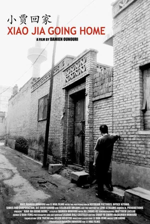 Постер: Xiao Jia Going Home