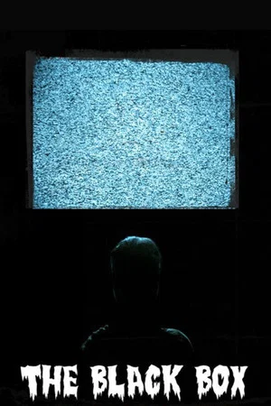 Постер: The Black Box