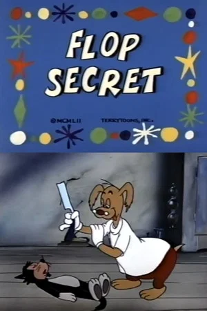 Постер: Flop Secret