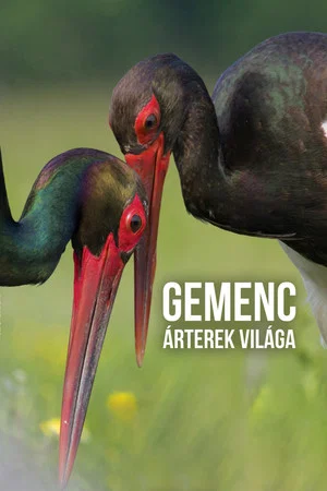 Постер: Gemenc – The World of Floodplains