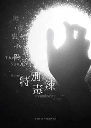 Постер: The Sun Burns Incandescent At Night