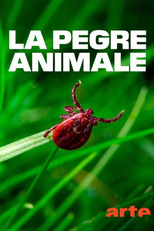 Постер: La pègre animale: la vie secrète des parasites