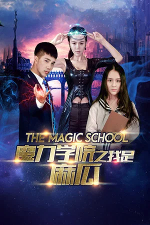 Постер: The Magic School