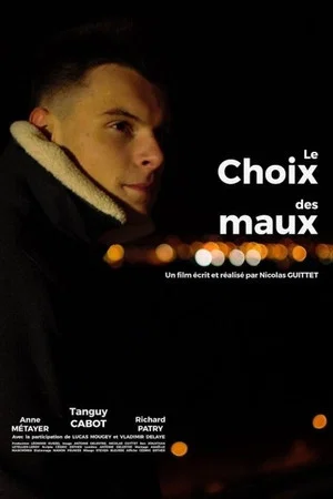 Постер: Le choix des maux