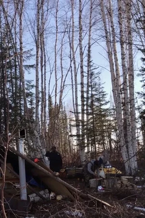Постер: K'i Tah Amongst the Birch