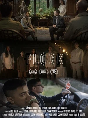 Постер: Flock