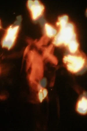 Постер: A Burning Thing
