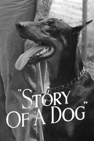 Постер: Story of a Dog