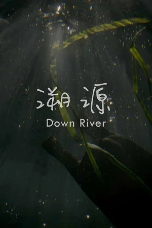 Постер: Down River