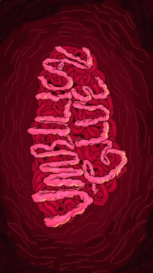 Постер: Umbilical Glue