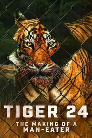 Постер: Tiger 24