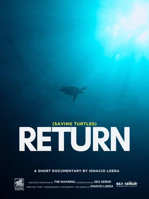 Постер: Return: Saving Turtles