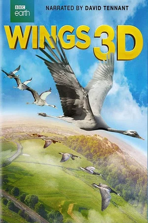 Постер: Wings 3D