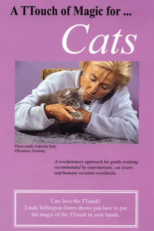 Постер: A TTouch of Magic for Cats