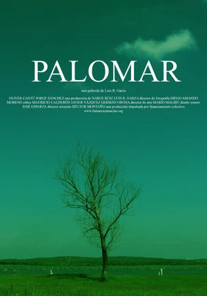 Постер: Palomar