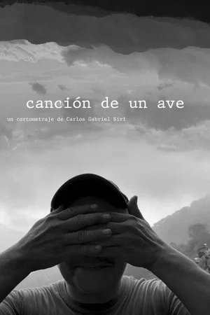 Постер: canción de un ave