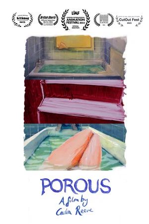Постер: Porous