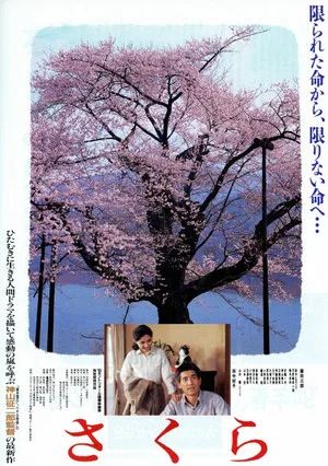 Постер: Sakura