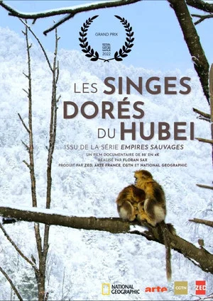 Постер: Golden Monkeys: Braving The Impossible
