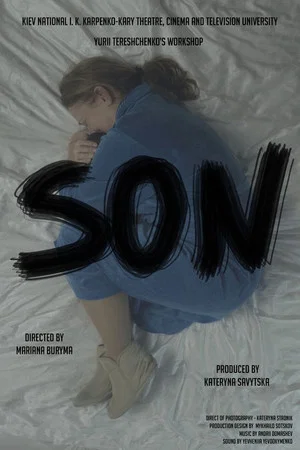Постер: The Son