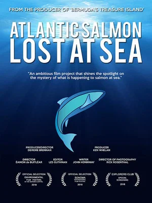 Постер: Atlantic Salmon: Lost at Sea