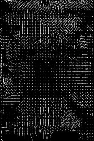 Постер: Lossless #4