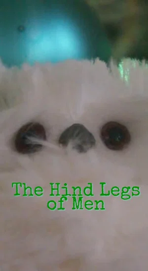 Постер: A Christmas Story: The Hind Legs of Men (Their Only Legs)