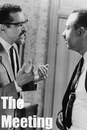 Постер: The Meeting