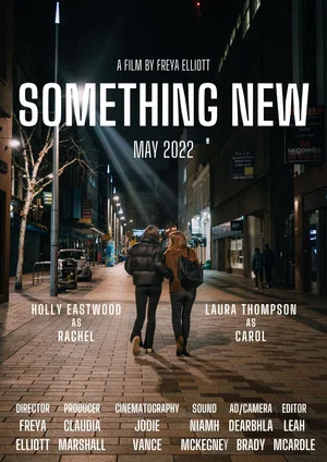 Постер: Something New