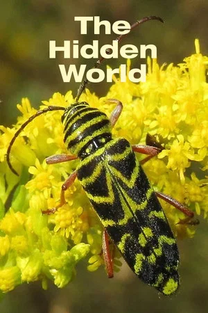 Постер: The Hidden World