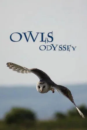 Постер: Owl's Odyssey