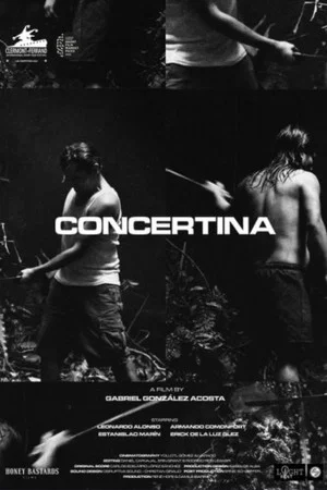 Постер: Concertina
