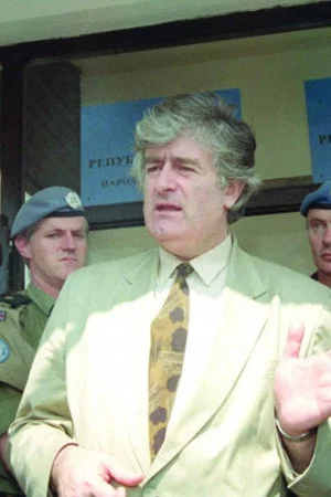Постер: Life and Deeds of Radovan Karadzic
