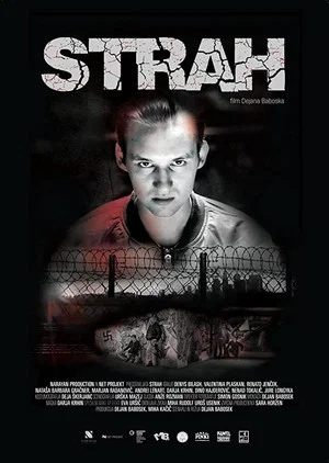 Постер: Fear