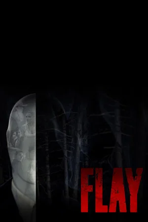 Постер: Flay