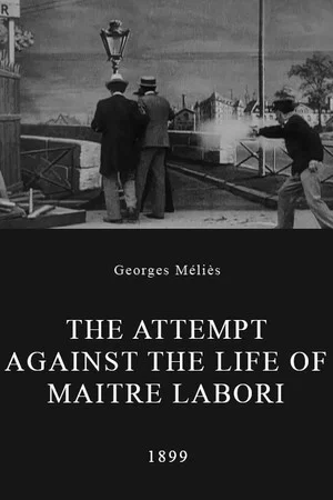 Постер: The Attempt Against the Life of Maitre Labori