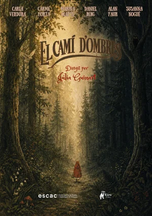 Постер: El camí d'ombres