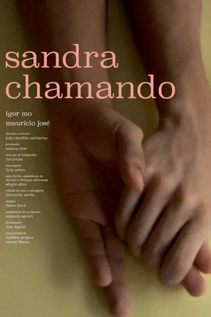 Постер: Sandra Calling
