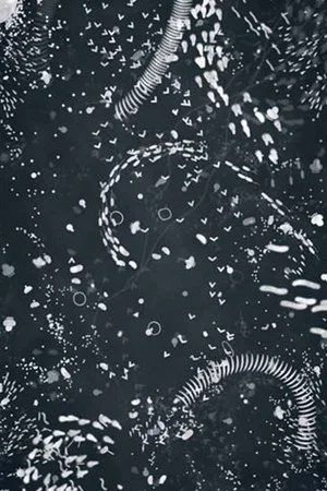 Постер: A4 Microcosm