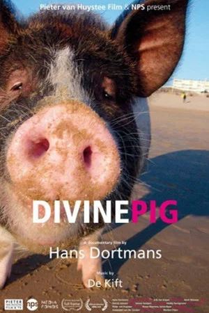 Постер: Divine Pig