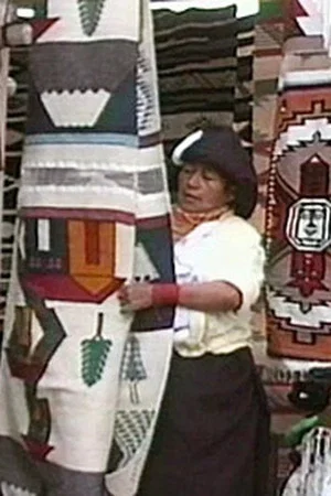 Постер: Weaving the Future