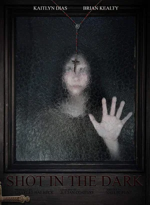 Постер: Shot in the Dark