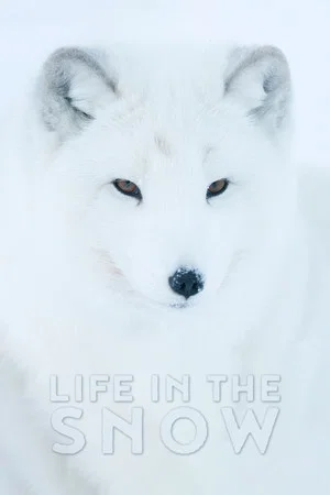 Постер: Life In The Snow