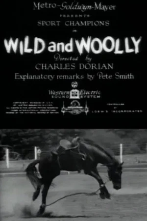 Постер: Wild and Woolly